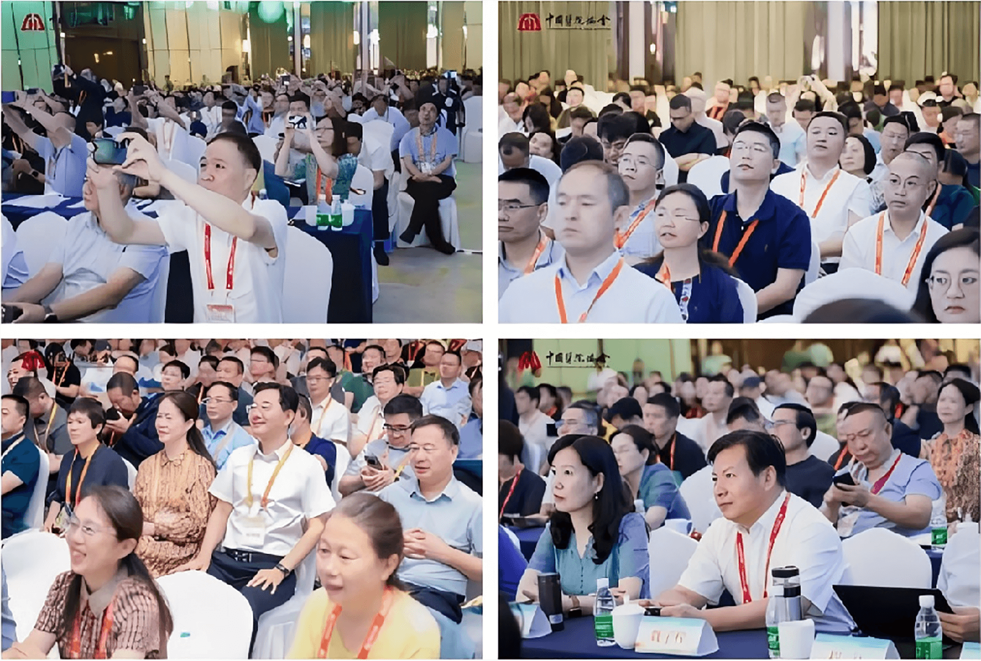 图片11.png